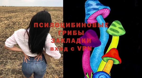 стафф Бородино