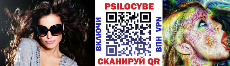 Псилоцибиновые грибы Psilocybe  Королёв 
